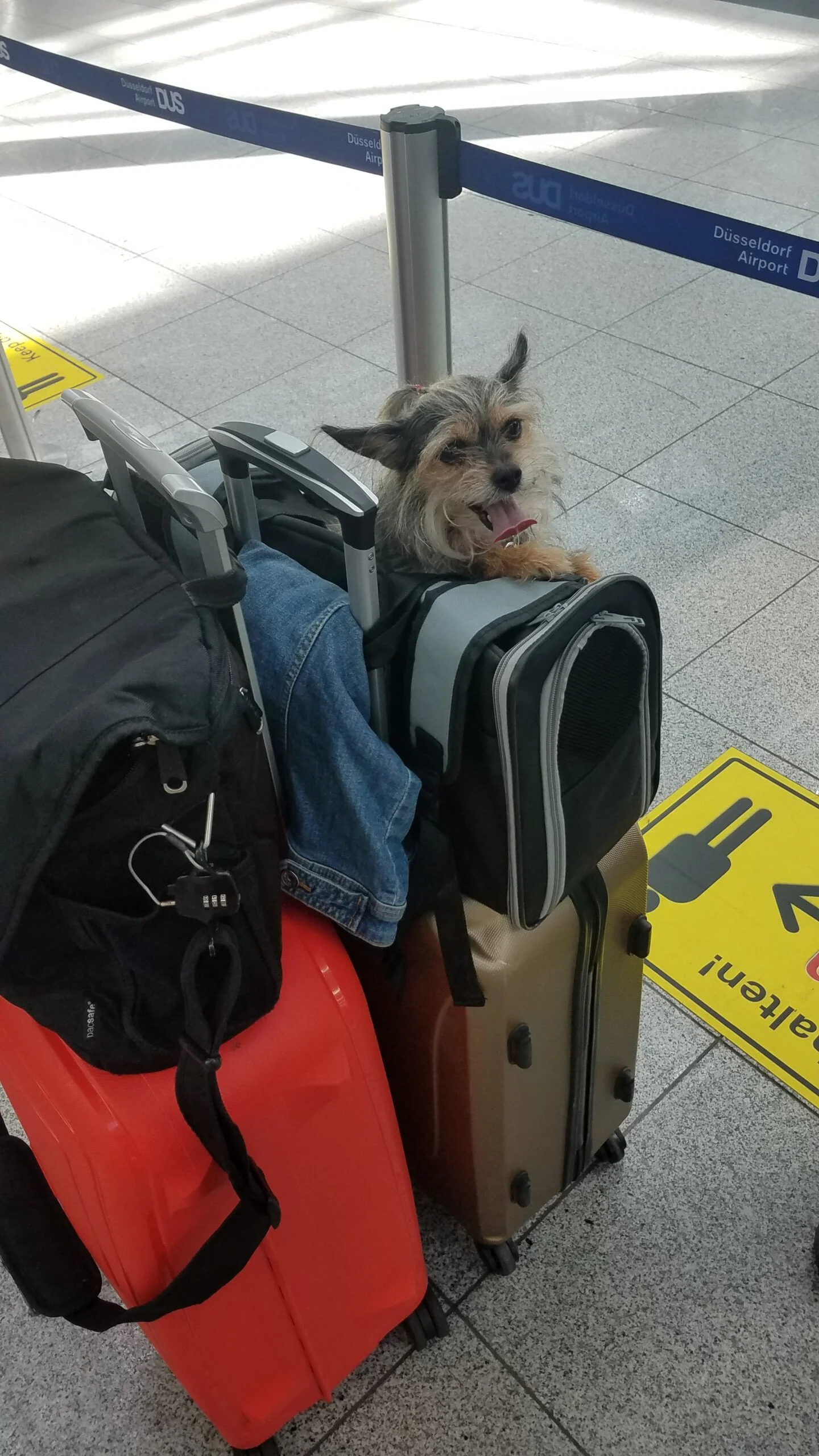 Auf die Koffer aufpassen für den Urlaub