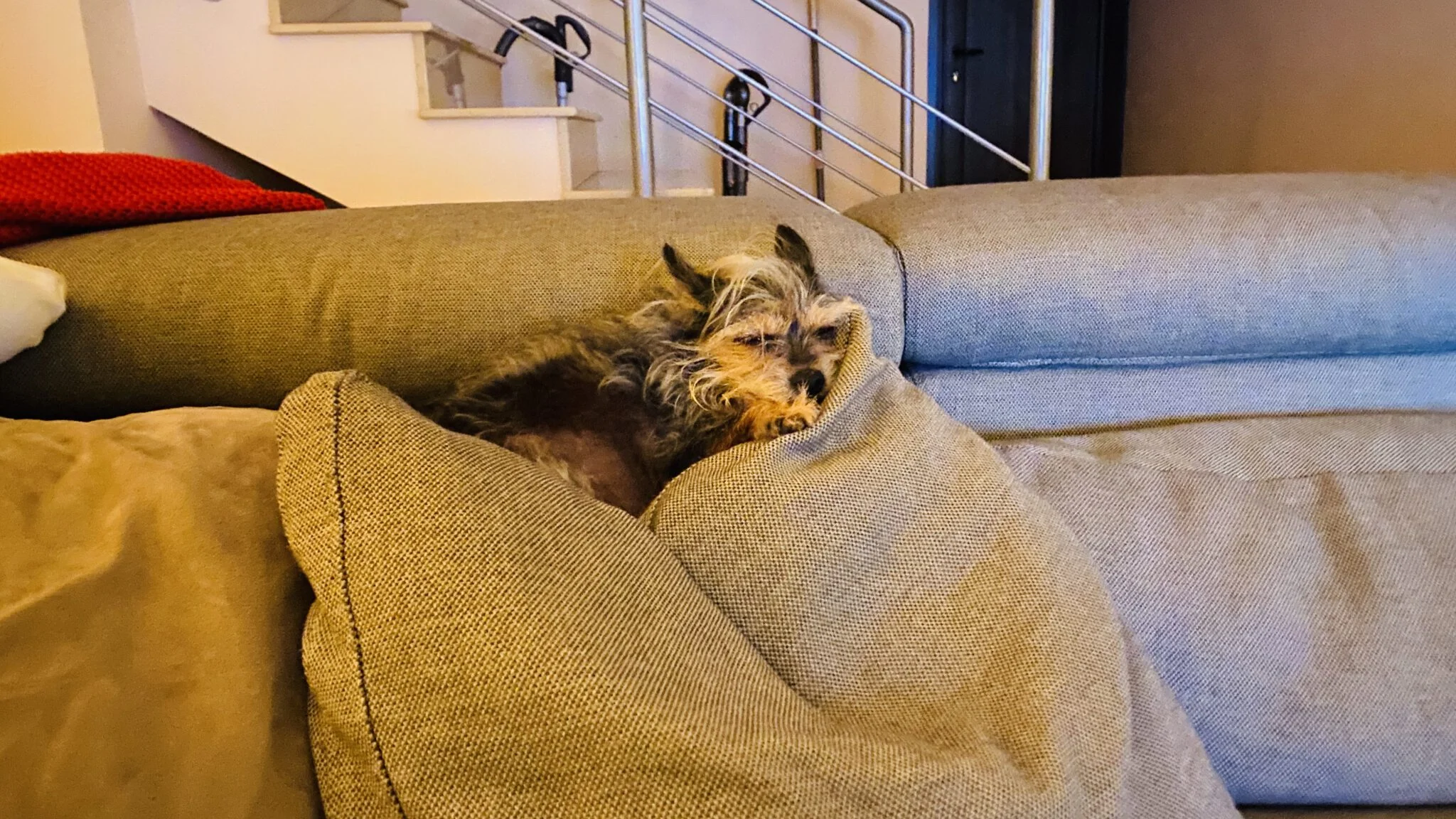 Ich bin Platt und müde