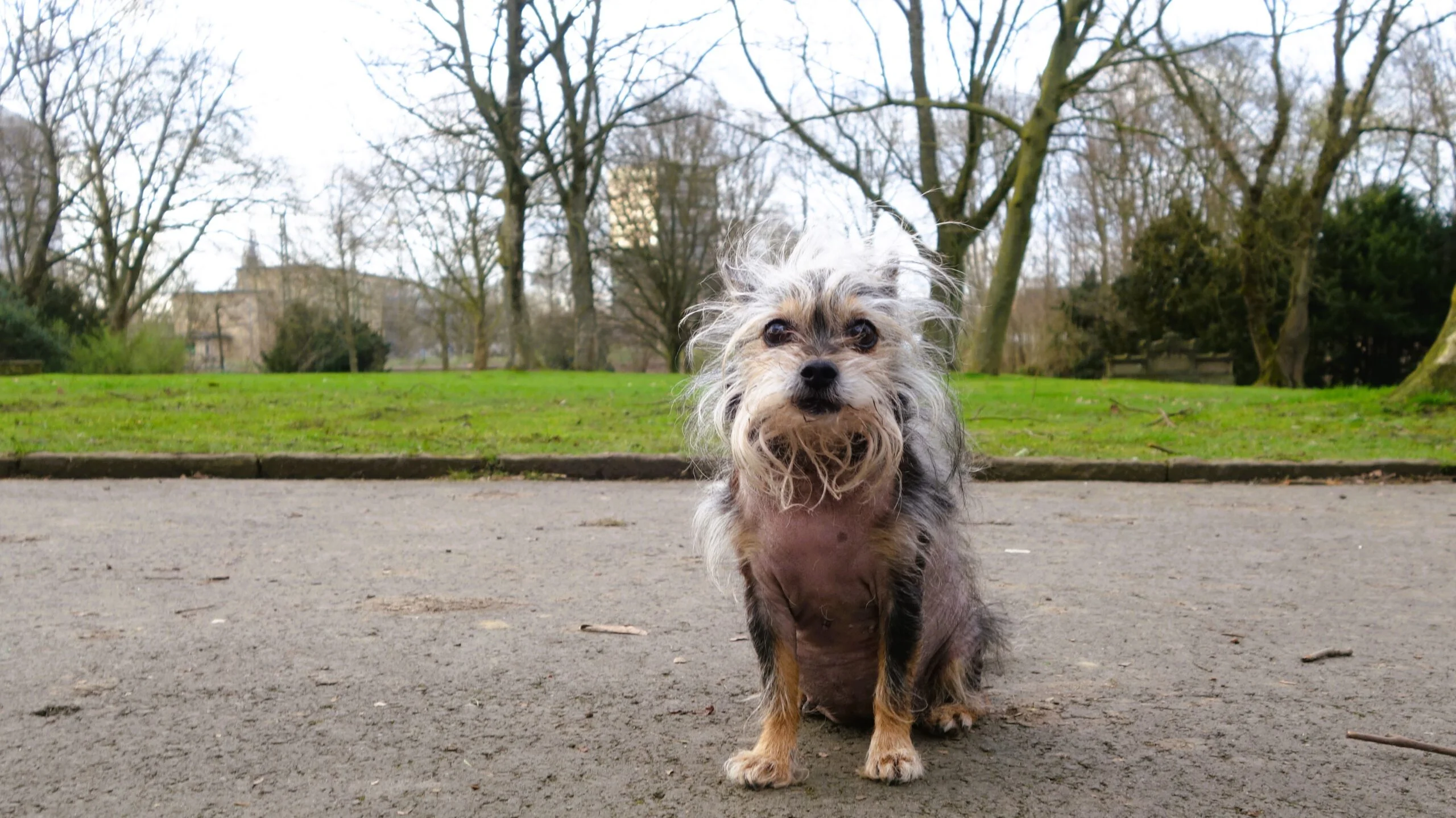 Fotoshooting im Kortum Park Bochum